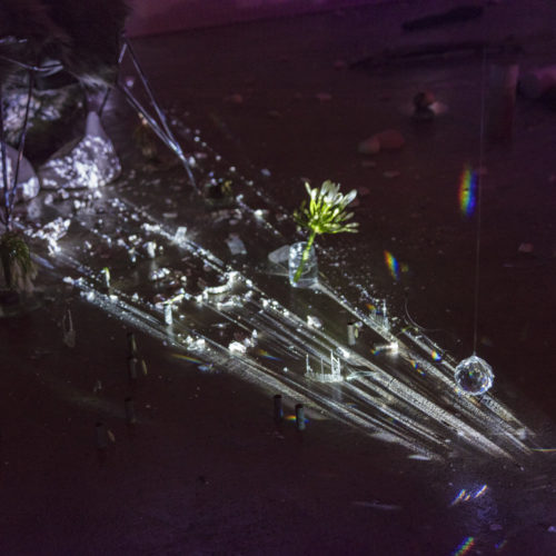 An installation in a dark space involving video projection, glass prisms, and cut plants.