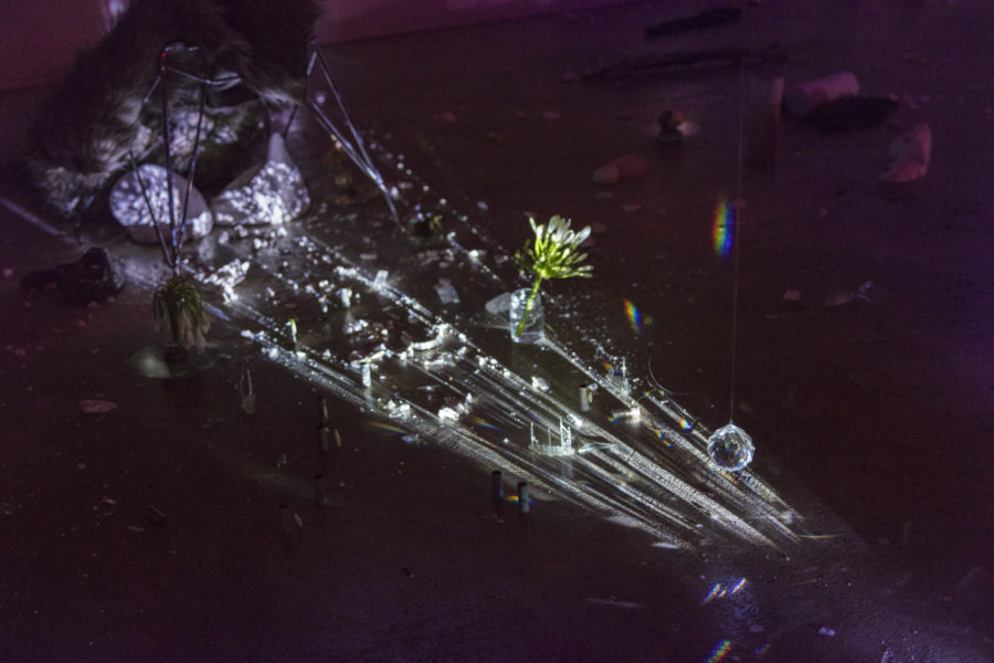 An installation in a dark space involving video projection, glass prisms, and cut plants.
