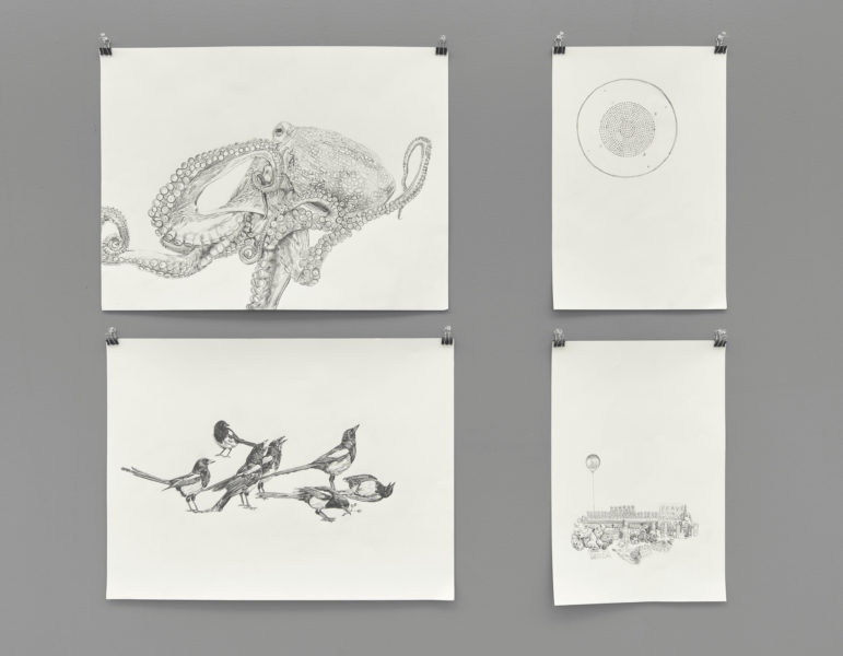 Four highly detailed naturalistic drawings on off-white paper featuring (clockwise from top-left): An octopus, a Petri dish, a collection of candles, cards, and toys left after a vigil for the victims of the Newtown, Connecticut school shooting, and four songbirds.