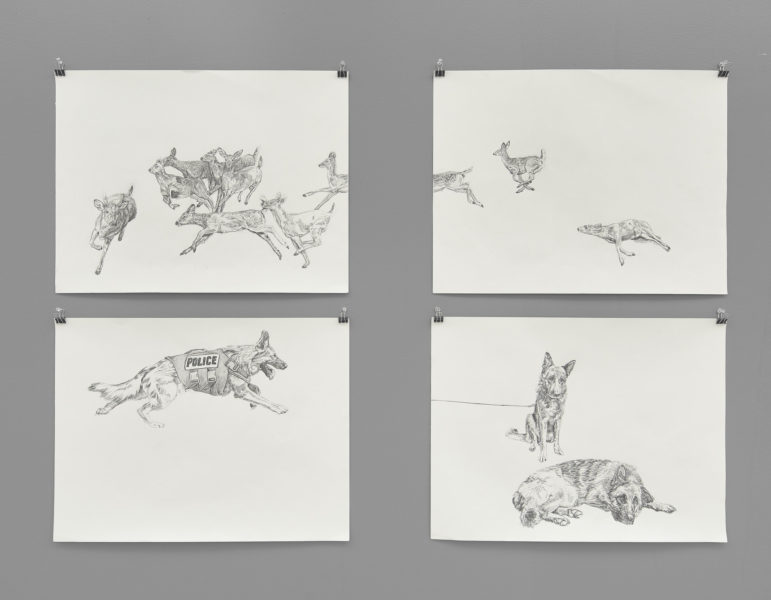 Four highly detailed naturalistic drawings on off-white paper featuring (clockwise from top-left): Deer leaping and running, Two deer leaping from the page while a third lies dead with a visible bullet wound, two German Shepherd dogs, one German Shepard with a tactical police harness. 