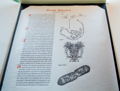 Detail shot of embossed print with text and scientific diagrams