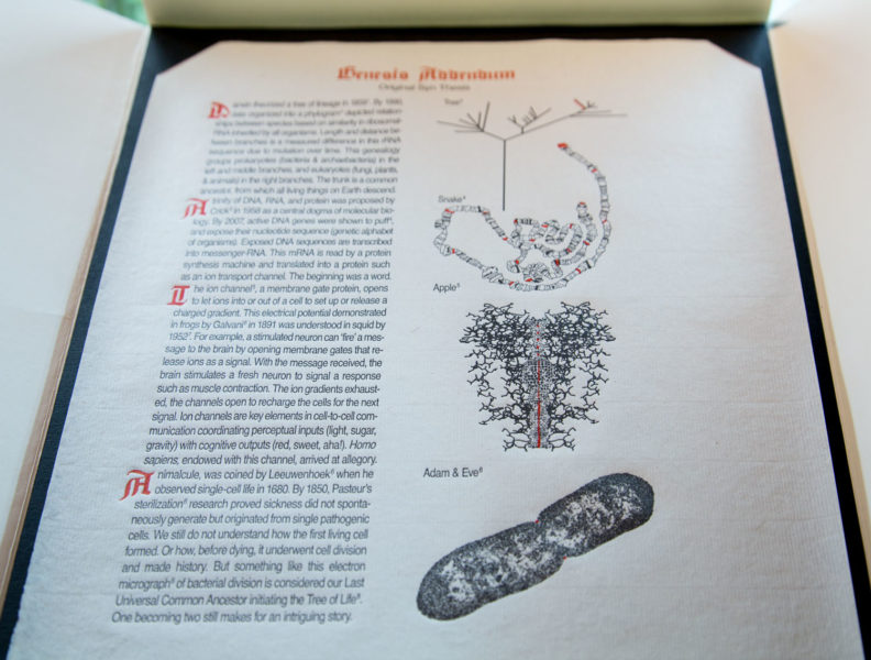 Detail shot of embossed print with text and scientific diagrams