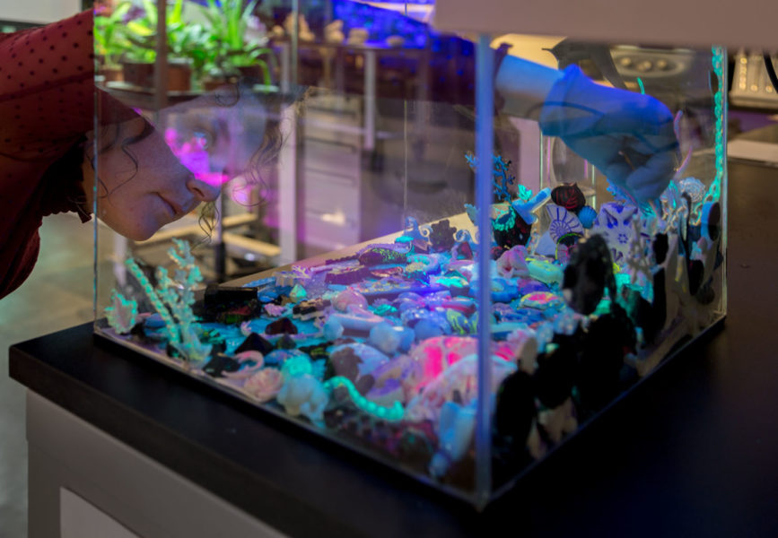 Artist putting the final touches on an aquarium full of sculptures painted with fluorescent bacteria