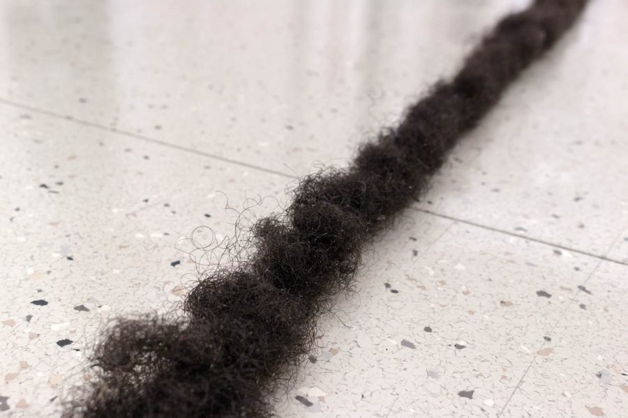 Close-up of a long piece of hair on the floor