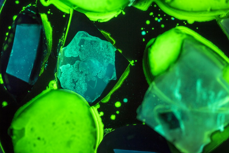 Close-up view of neon green organic material