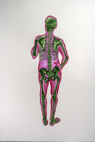 Anatomic painting of a person's pink body from the back, with the skeleton, painted with green