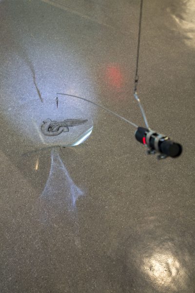 Installation of a small black projector, projecting an image of a biological shape onto gray speckled floor