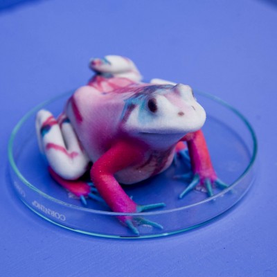 A 3d printed frog colored in white, red, and light blue on a blue background.
