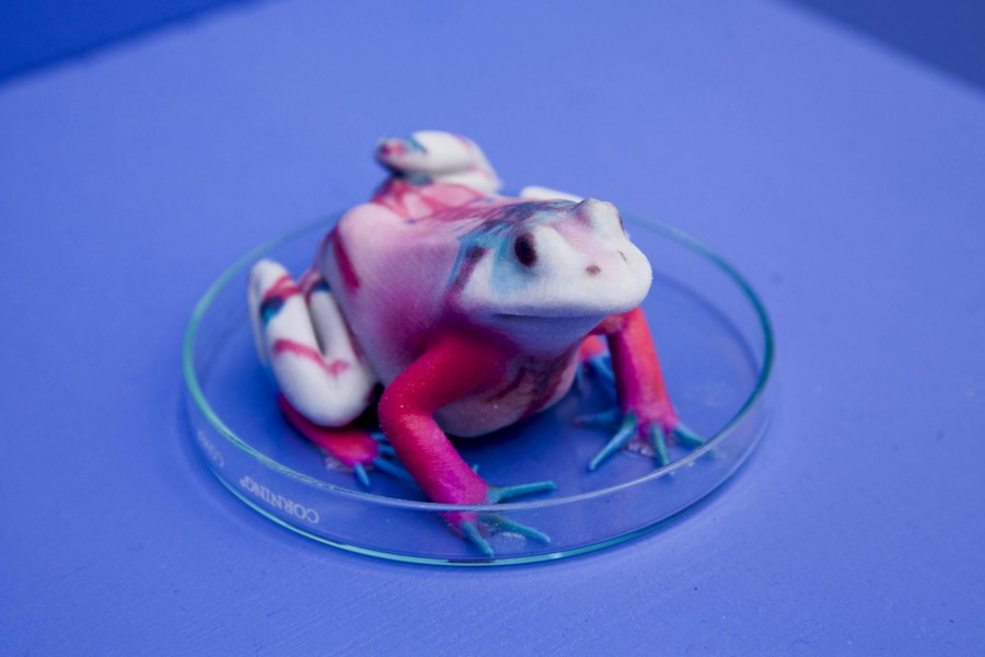 A 3d printed frog colored in white, red, and light blue on a blue background.