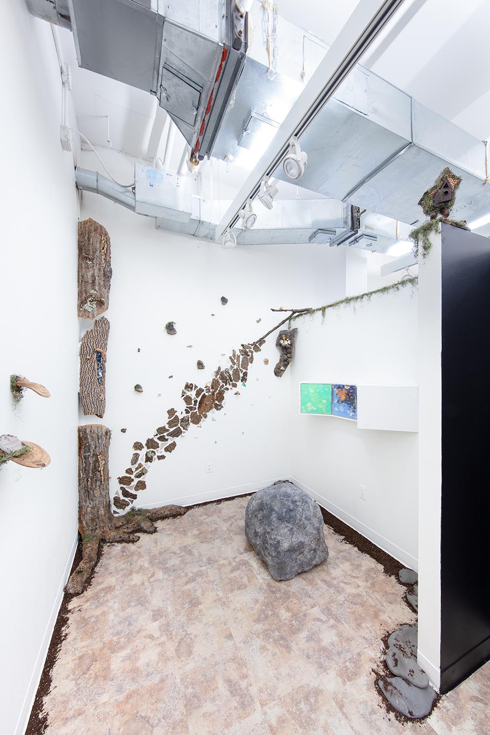 Annie Morrissey: The Mycelia Network, 2019, Installation View.