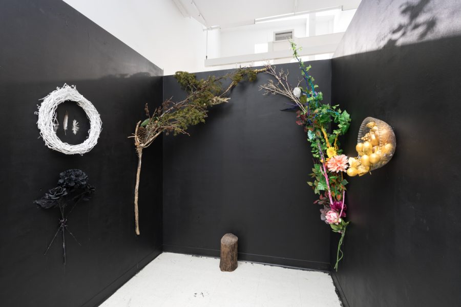 Installation image of artwork by Artemis Razzberry. Various foliage mounted on a black wall with an object resembling a stone placed on the floor.