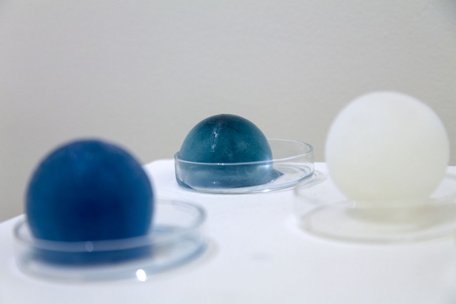 close-up view of three-ball shapes, two blue and one white, each held in rounded lab containers on a table