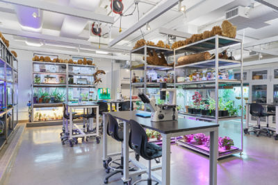 Empty laboratory space lined with tall shelves of aquariums, plants and specimens