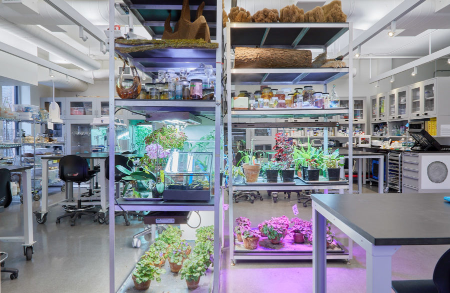 Tall shelves full of aquariums, plants and specimens illuminated by various grow lights