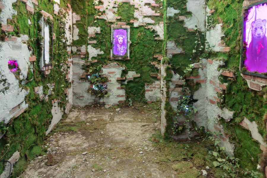 Installation view of artwork by Bjorgvin Jonsson. Multiple portraits of people wearing a animal mask, image is saturated magenta, fabricated brick wall with green moss.