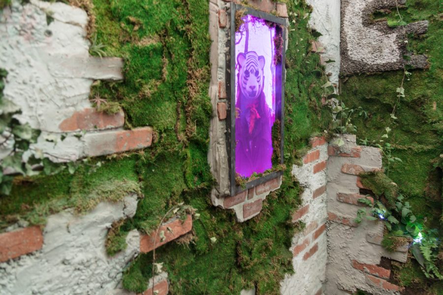 Installation view of artwork by Bjorgvin Jonsson. A portrait of person wearing an animal mask, image is saturated magenta, fabricated brick wall with green moss.