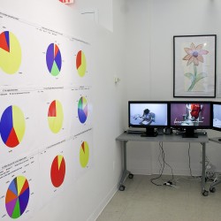 Installation view of many pie charts on the left wall and a print with a flower on the front wall, and four TVs with different images displayed