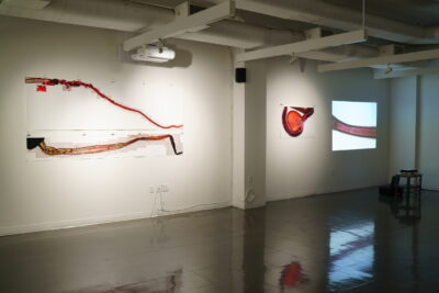 Wider view of three large photographic prints hung against a white wall, beside a video projection.
