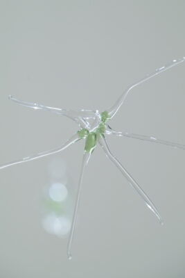 A close-up view of a small glass sculpture of a microbe, hung from the ceiling by a thin clear thread.