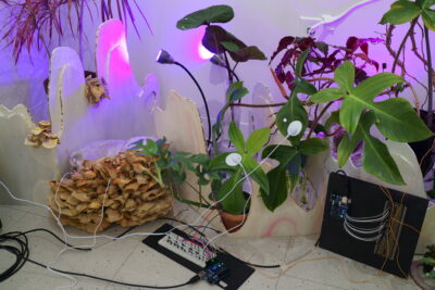 Various plants sit on a white tile floor among groups of dehydrated mushrooms and wavy white sculptures, their leaves sporting biosensors with wires running back to a central breadboard.