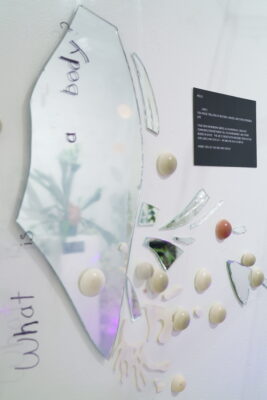 A wall-mounted installation, featuring bioplastics and pieces of broken mirror with the words, “what is a body?” written across them.