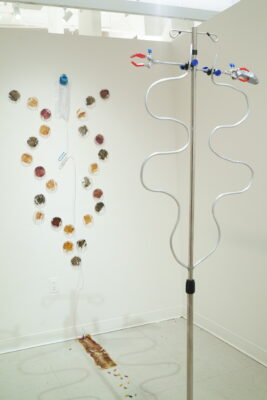 A wavy, abstract sculpture made of pipes and clamps stands in the center of a small white space, across from a group of petri dishes, each containing a texture similar to snakeskin, arranged in a similar shape.