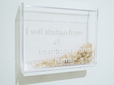 A collection of lizard skin, contained within a clear box which is mounted to the wall and labeled with the words, “I will abstain from all intentional wrongdoing and harm”.