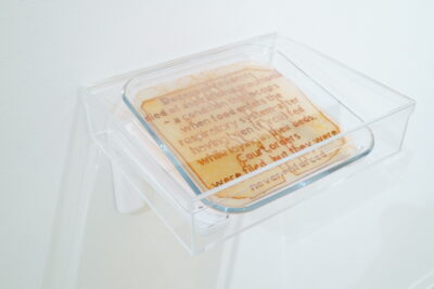 A clear case mounted on a white wall, containing a glass dish filled with agar media and the following words written in red bacteria: “Dozens of residents died of aspirational pneumonia- a condition that occurs when food enters the respiratory system- after having been (force) fed while laying in their beds. Court orders were filed but they were never enforced.”