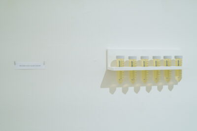 Five plastic laboratory tubes containing a light yellow liquid arranged on a rack beside a sign which reads, “Daily sample of artist’s urine, falcon tubes, MDF”.