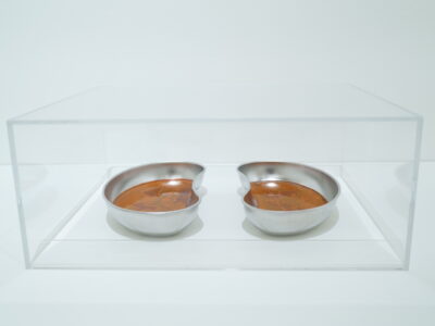 Two stainless steel kidney trays sit beside each other beneath a clear acrylic case, and contain an agar media streaked with red bacteria.