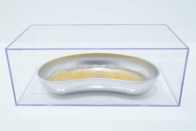 A stainless steel kidney tray beneath a clear acrylic case, containing an agar media covered in hair-like fungal growth.