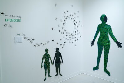 Multiple paper cutouts of human figures covered in various biological materials are arranged on adjacent white gallery walls, underneath a swarm of paper cut-out ants and the word “Entomocene”.