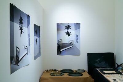 Three large photographs of tarantulas inside of a miniature bedroom set hang on adjacent white gallery walls.