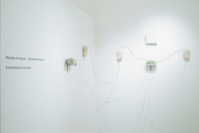 A wall-mounted sculpture featuring small capsules filled with seedlings and kidney-bean shaped blocks made of mycelium, connected by a series of clear tubes.