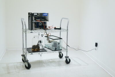 A metal rolling rack standing in the center of a white space, covered in pieces of a broken computer, some of which are submerged in an aquarium filled with water.