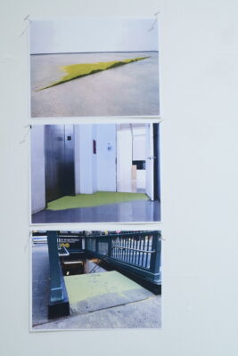 Three photos of a green, powdery substance spread across floors in three different locations hang on a white wall.