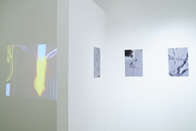 Three photographs of microbes hung against a white wall, around the corner from a video projection of the artist sculpting glass with a blowtorch.