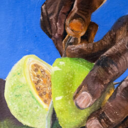 A detail of a painting by Diana Torres called, Chinola (Passion Fruit), 2023, oil on canvas, 30 x 18 inches - A painting of a chinola fruit being cut. The painting shows two hands in the midst of cutting open the fruit on the right side. On the left sits a cut chinola. The background is a vibrant blue.