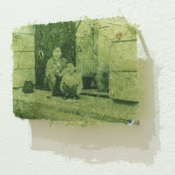 An image printed faintly on a green, fibrous, paper-like material mounted on a white wall.