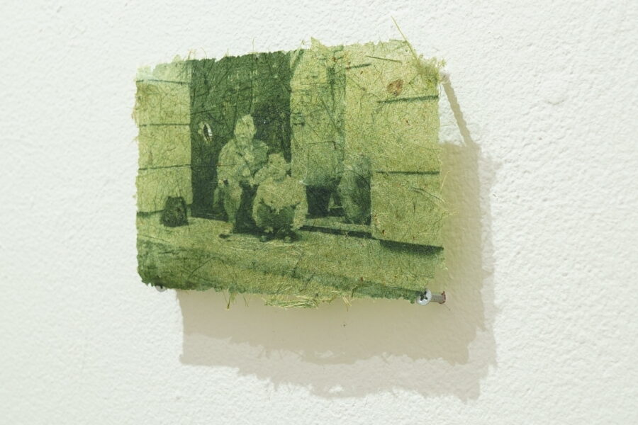 An image printed faintly on a green, fibrous, paper-like material mounted on a white wall.