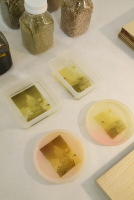 A few small images printed on sheets of translucent bioplastic in silicone containers.