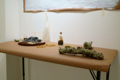 A collection of art objects sit on a table top, including a figurative sculpture, glass bottles filled with moss, and wood covered in lichen.
