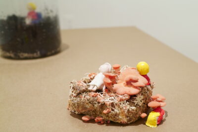 A tiny, figurative clay sculpture placed on top of a block of substrate, surrounded by live pink mushrooms.