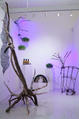 Installation shot, including intricate wire sculptures fixed to wooden bases and hung from the ceiling, an arrangement of amber bottles, and multiple containers of live grass sitting on white pedestals.