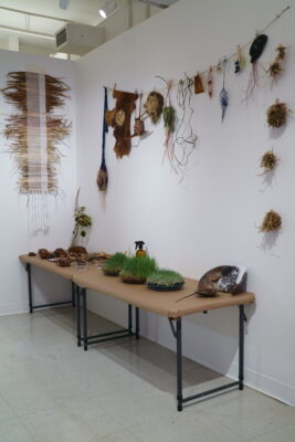 A group of weavings and sculptures made of various natural materials hung on a line against a white wall, above a specimen collection arranged on a tabletop.