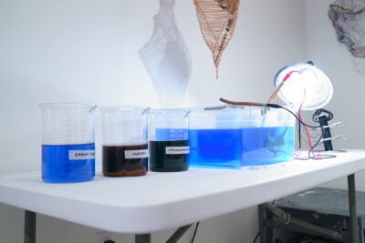 Three glass beakers, each containing a different substance, lined up beside a large plastic tub filled with blue copper chloride solution.