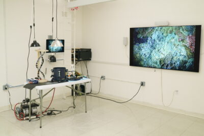 A make-shift laboratory bench made of a tabletop and various technical elements stands under a set of lamps in the center of a white room, beside a large monitor showing an image of a green, rocky material.
