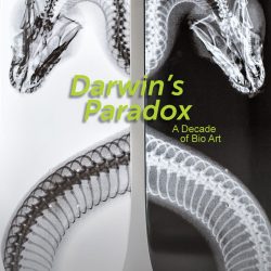 A poster for the exhibition at the SVA Flatiron Gallery, Darwin's Paradox: A Decade of Bio Art. The poster features an image of an artwork by Steve Miller. The artwork shows the back of two skateboards with x-ray scans of snakes.