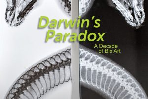 A poster for the exhibition at the SVA Flatiron Gallery, Darwin's Paradox: A Decade of Bio Art. The poster features an image of an artwork by Steve Miller. The artwork shows the back of two skateboards with x-ray scans of snakes.