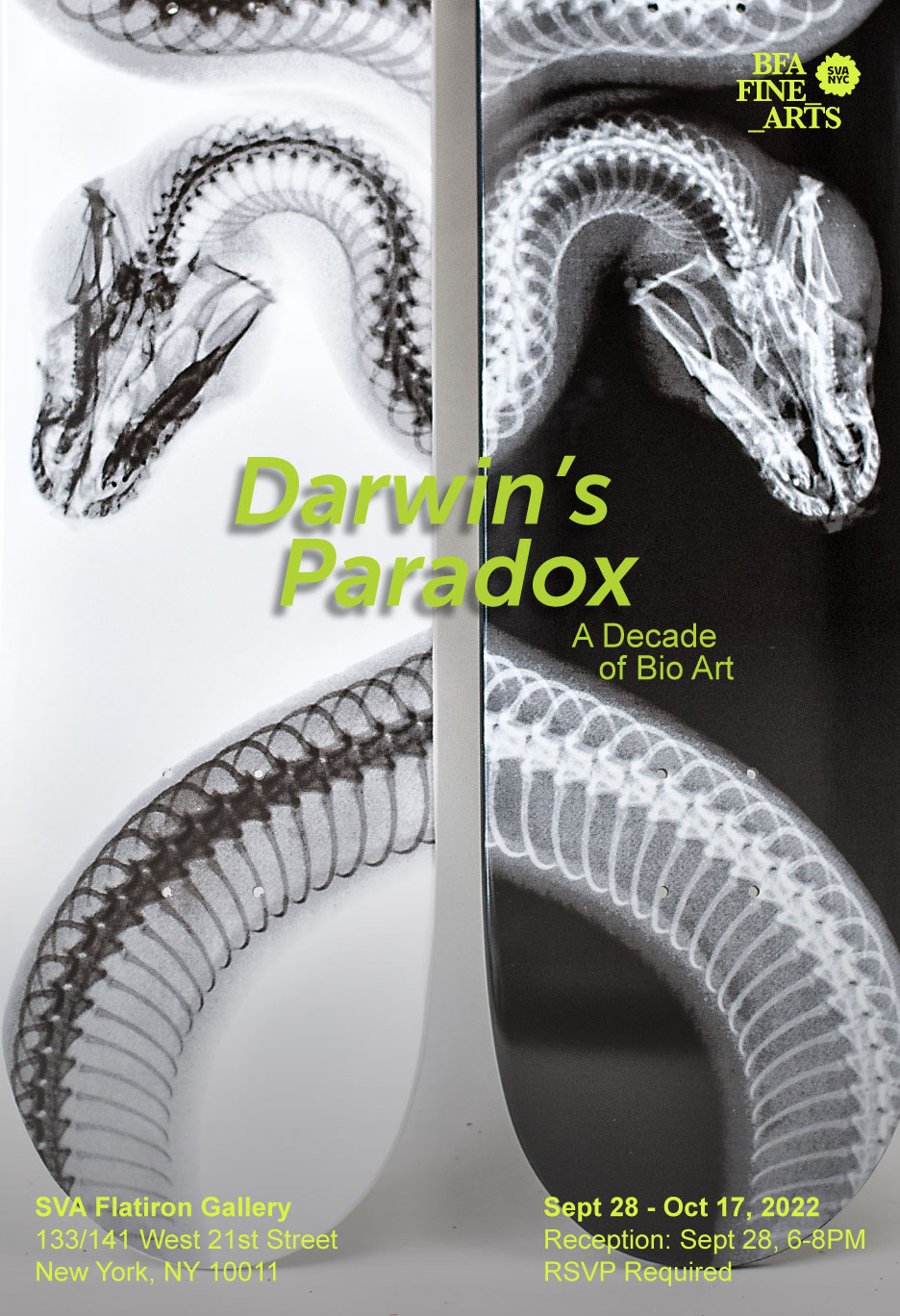 A poster for the exhibition at the SVA Flatiron Gallery, Darwin's Paradox: A Decade of Bio Art. The poster features an image of an artwork by Steve Miller. The artwork shows the back of two skateboards with x-ray scans of snakes.